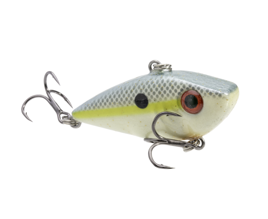 reyesdb-590_bitsyredeyedshadsexyshad_main