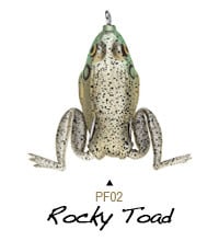 rocky toad