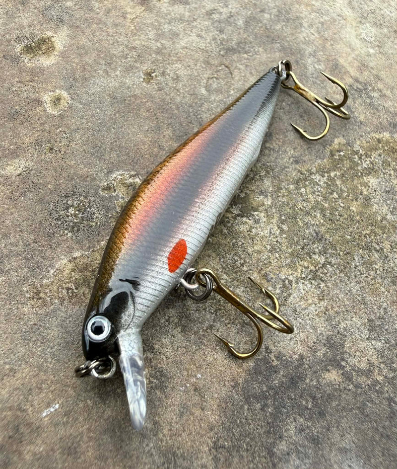 R&P Custom Lures R&P Dace