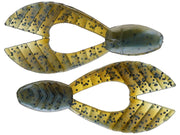 rs (2)