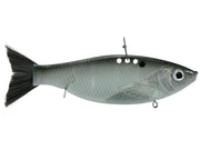 rs (2)