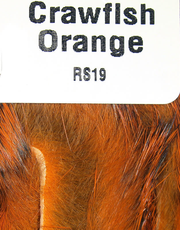 rs19