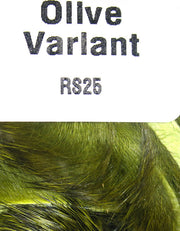 rs25