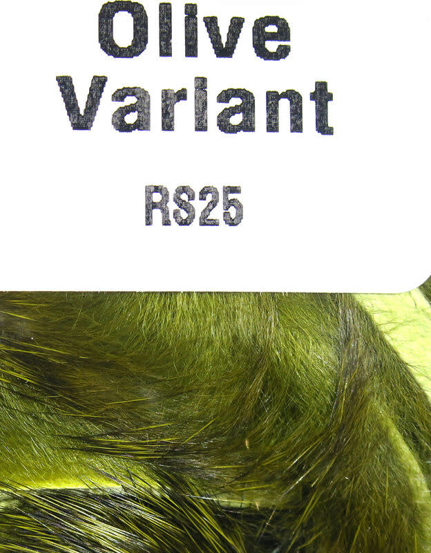 rs25