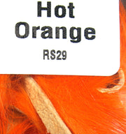 rs29