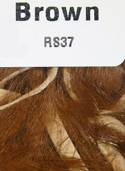 rs37