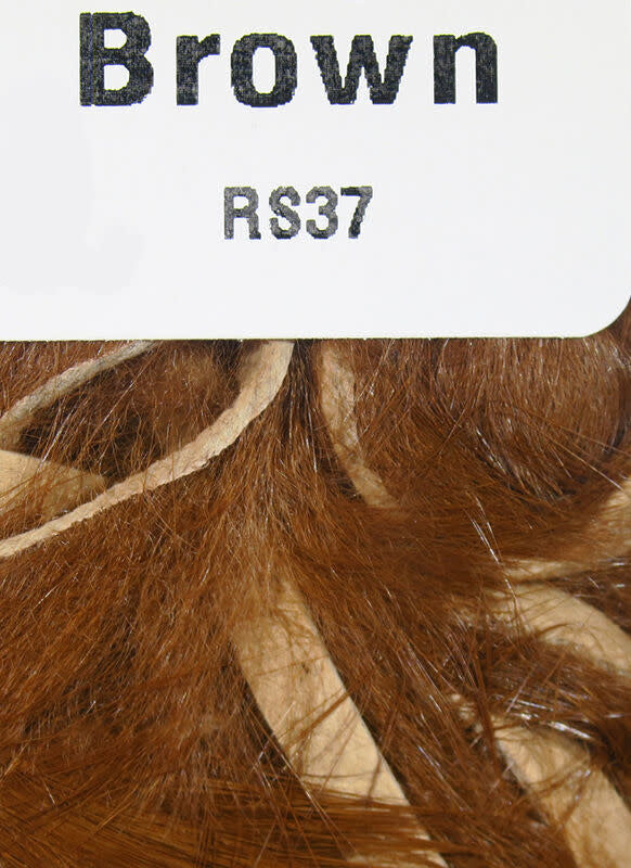 rs37