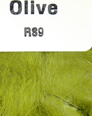 rs9