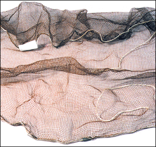 Ranger Poly Seine Net