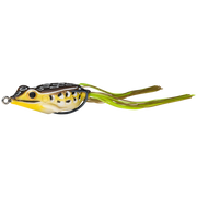 sexy frog spring frog