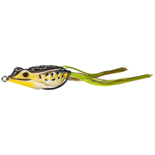 sexy frog spring frog