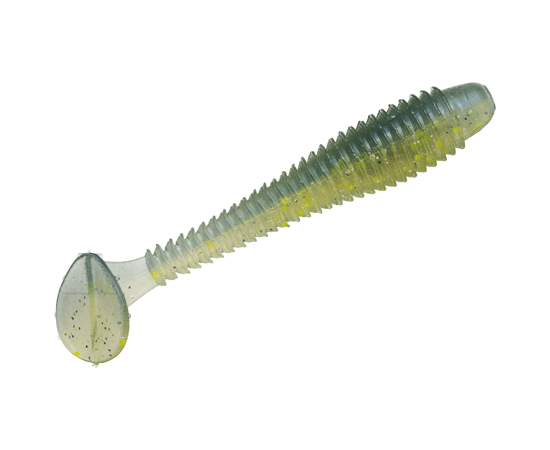 sexy shad