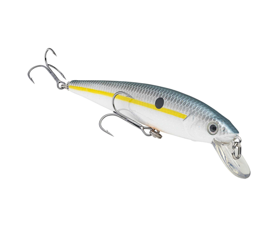 sexy shad