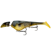 Shad16_Spotted-Bullhead_2000x