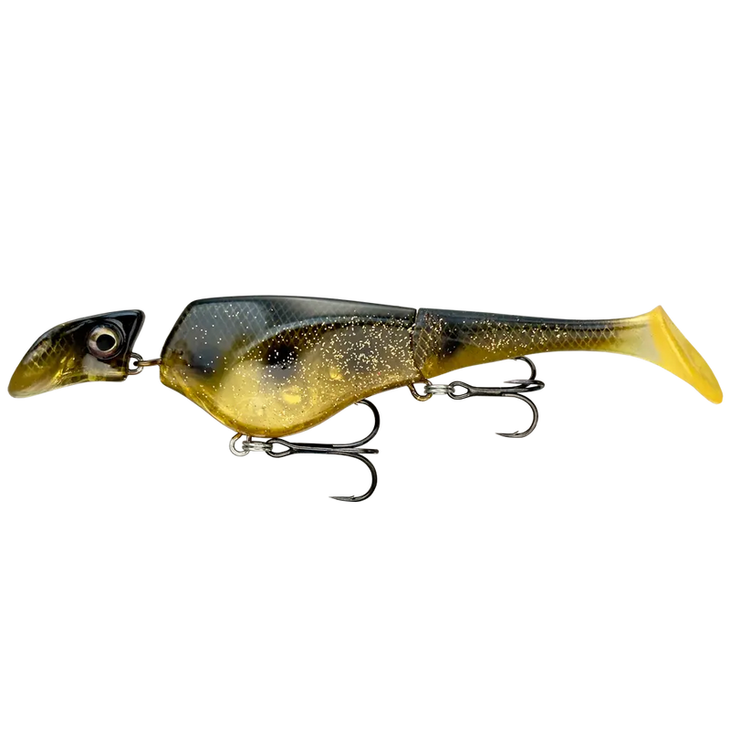 Shad16_Spotted-Bullhead_2000x
