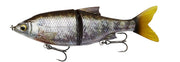 shine glide ghost gill 3893_