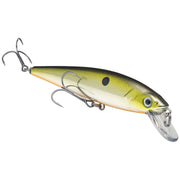 silver tn shad