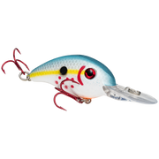 slab hammer bleeding sexy shad