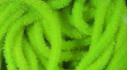 small chaart