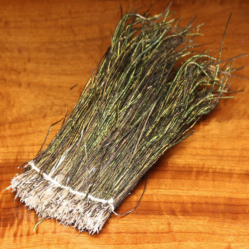 Strung Peacock Herl 5-7 inch inch Small Package
