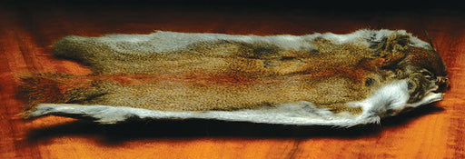 squirrel skin