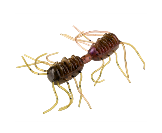 Strike King Sexy Bug