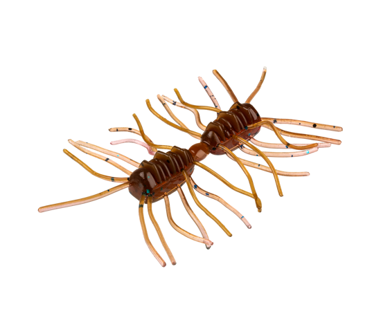 Strike King Sexy Bug