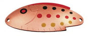 T10_C