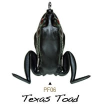 texas toad