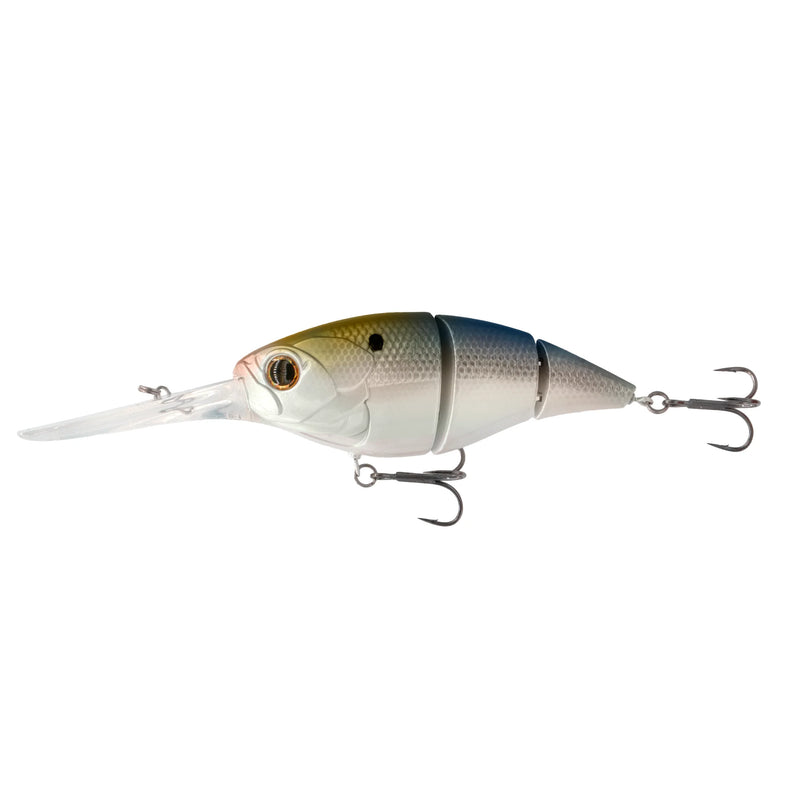 The_Unit24_TEST_4K_SHad