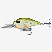 troll 15ft dream gill