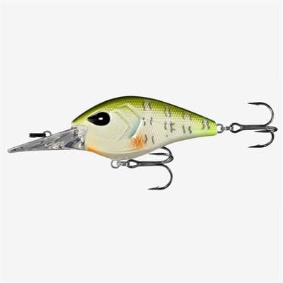 troll 15ft dream gill