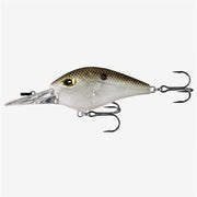 troll 15ft green gizzard shad