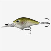 troll 18ft epic shad