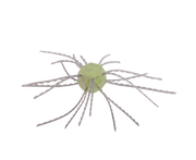 twslt-202_tumbleweedsaltedlemondrop_main