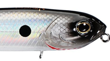 Vixen Silver+Shiner