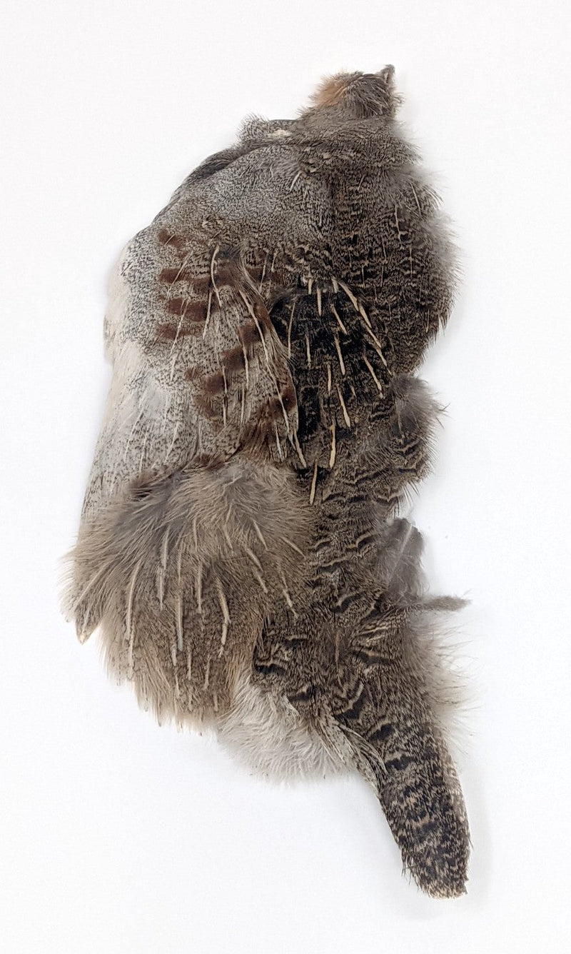 Wapsi Hungarian Partridge Half Skin - Natural