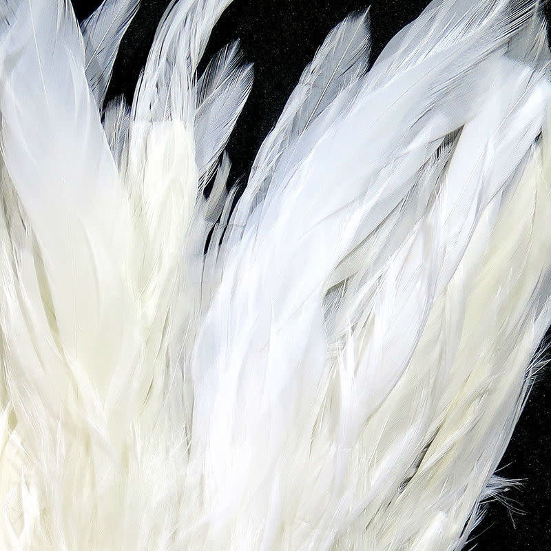 white schlap