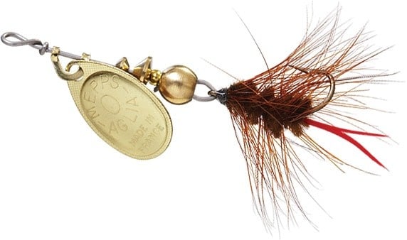 wooly worm gold brown