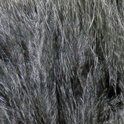 xs11