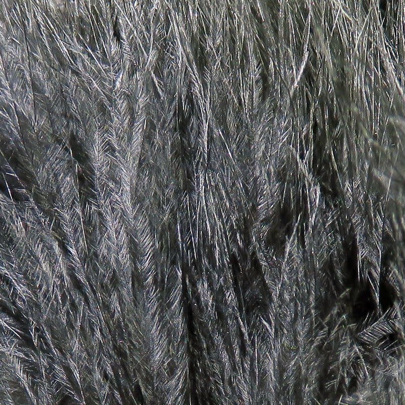 xs11