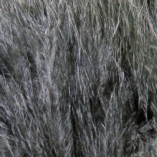 xs11