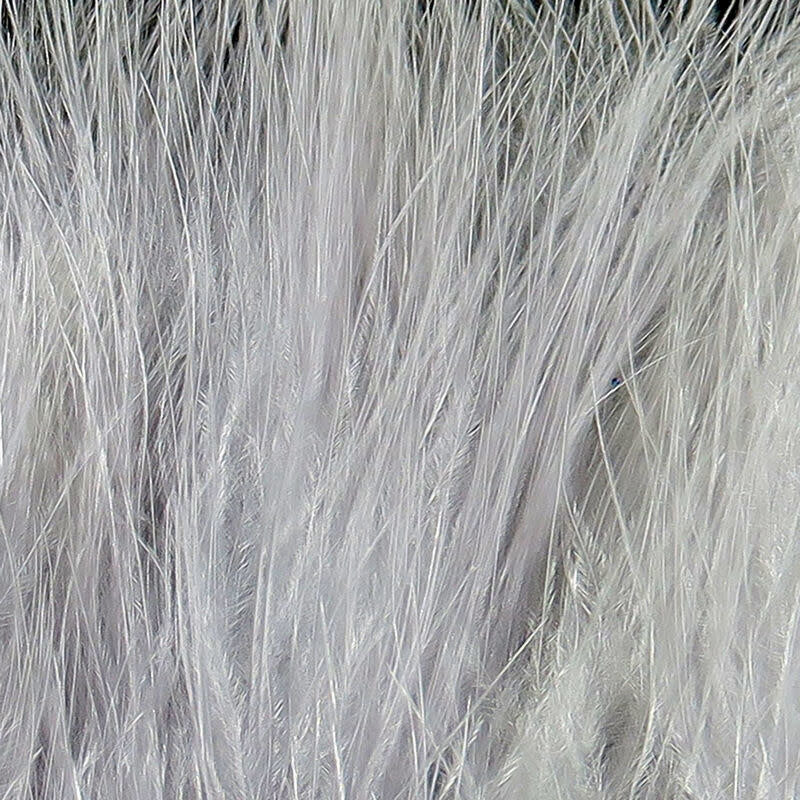 xs165