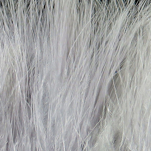 xs165