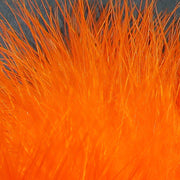 xs187