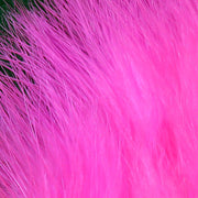 xs188