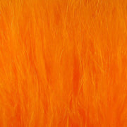 xs271
