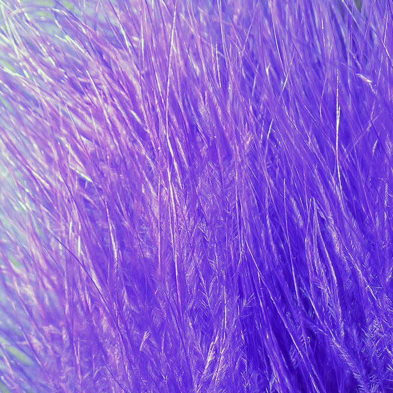 xs298