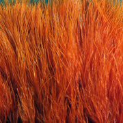 xs323