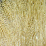 xs369